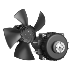 Motors